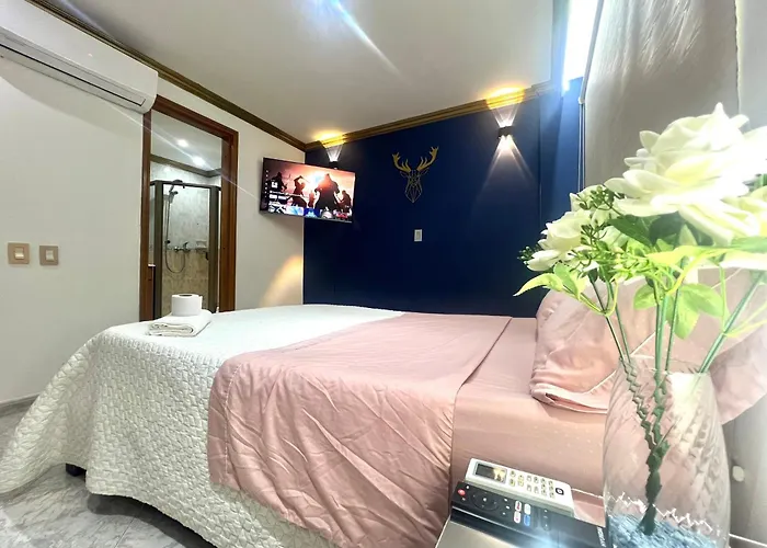Habitacion De Lujo Con Aire Acondicionado En Condominio Privado